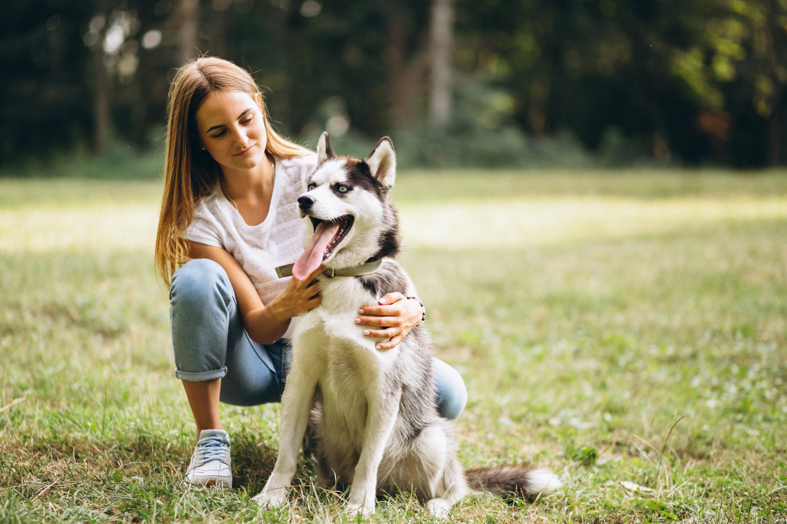 Proyecto pet friendly ideal para convivir con mascotas